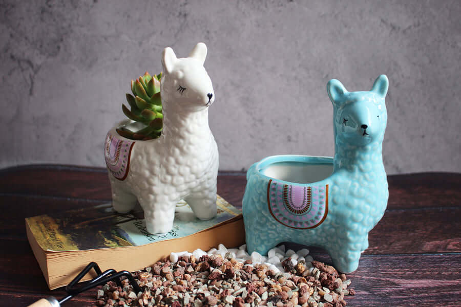 Cute Alpaca Pots for Succulents