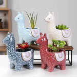 Cute Alpaca Pots for Succulents