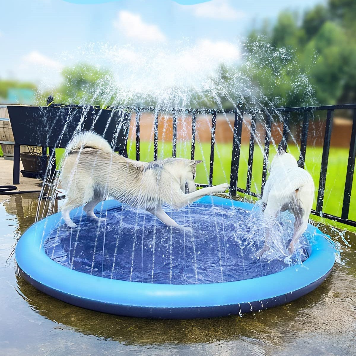 AquaBuddy | Ihr persönliches Wasserparadies für den Garten!