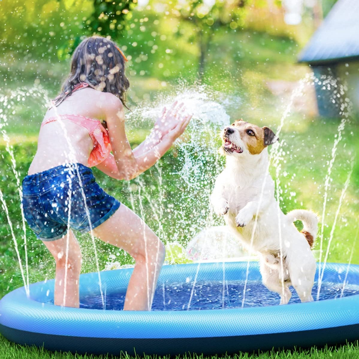 AquaBuddy | Ihr persönliches Wasserparadies für den Garten!