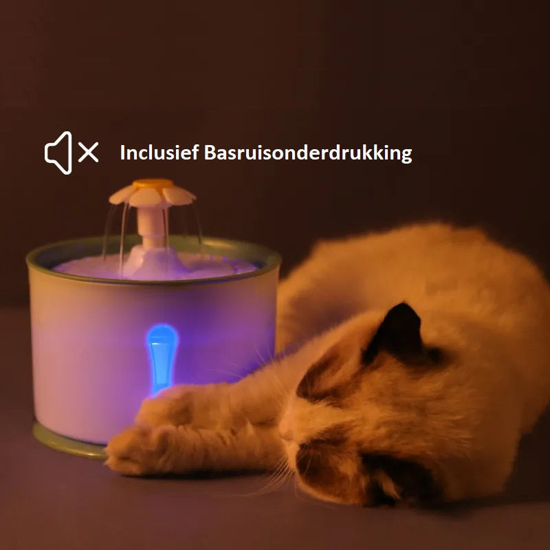 AquaPaws Trinkbrunnen | Weil Ihre Katze das Beste verdient