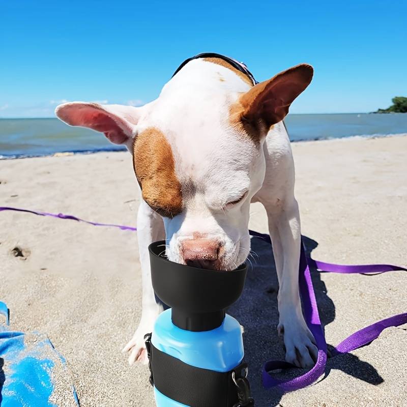 AquaPup | Praktische Wasserflasche für Haustiere