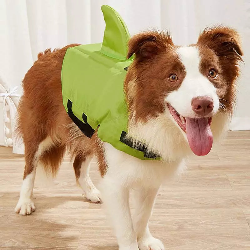 AquaSafe | Secure Dog Life Vest Protection