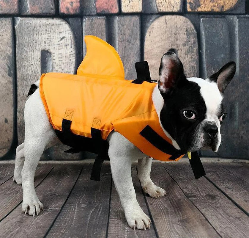 AquaSafe | Secure Dog Life Vest Protection