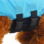 AquaSafe | Secure Dog Life Vest Protection