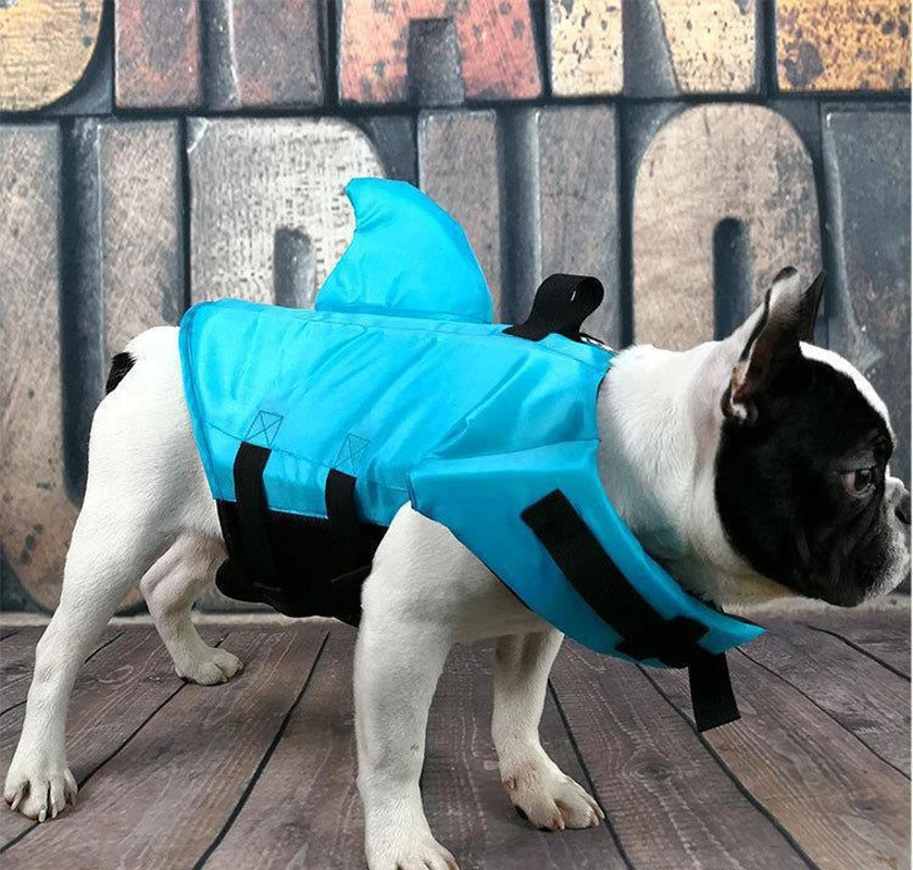 AquaSafe | Secure Dog Life Vest Protection