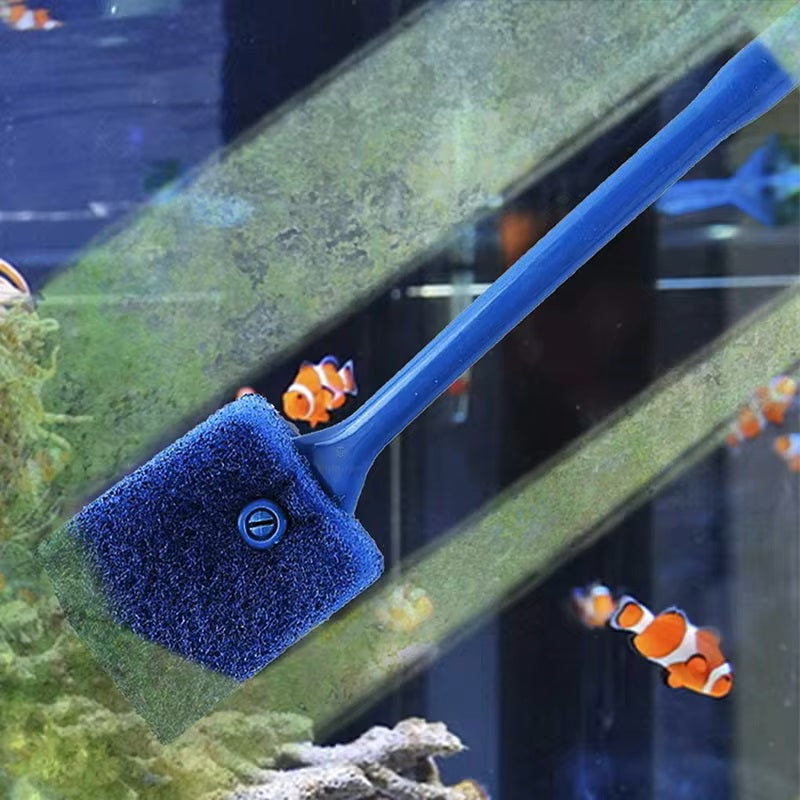 AquaScrub | Kristallklares Glas und bakterienfreies Wasser