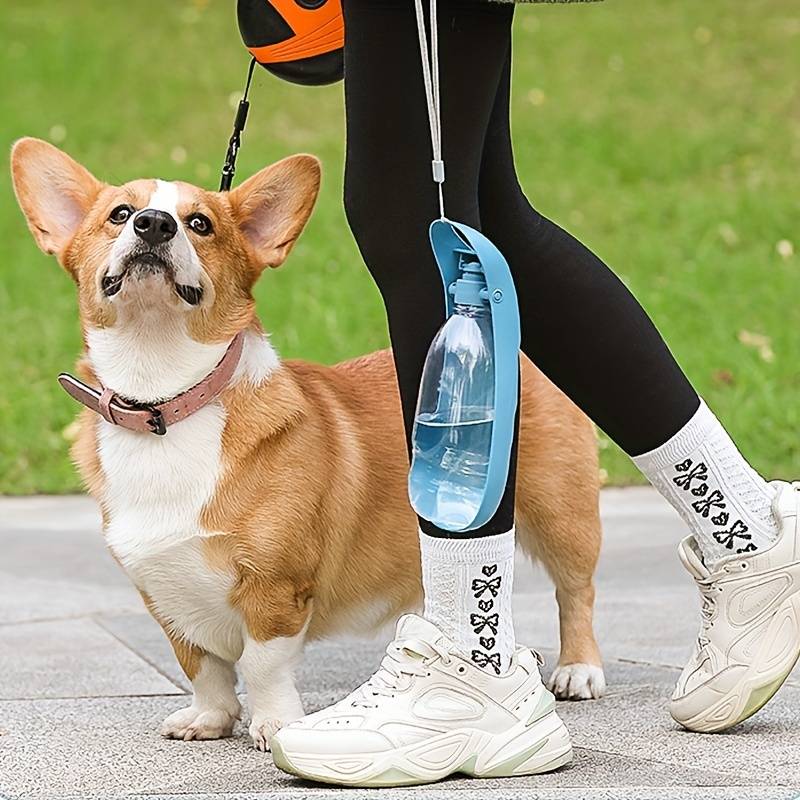 AquaWoof | Frische Flüssigkeitszufuhr für Ihren Hund