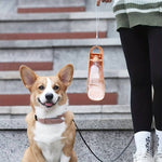 AquaWoof | Frische Flüssigkeitszufuhr für Ihren Hund
