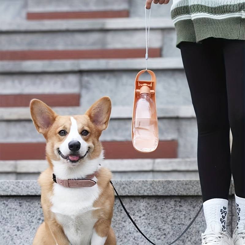 AquaWoof | Frische Flüssigkeitszufuhr für Ihren Hund