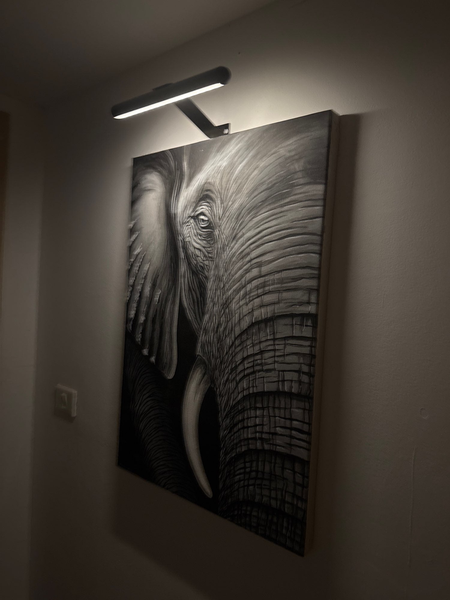 Kabellose LED-Bilderleuchte – Dimmbares Wandlicht für Kunstwerke