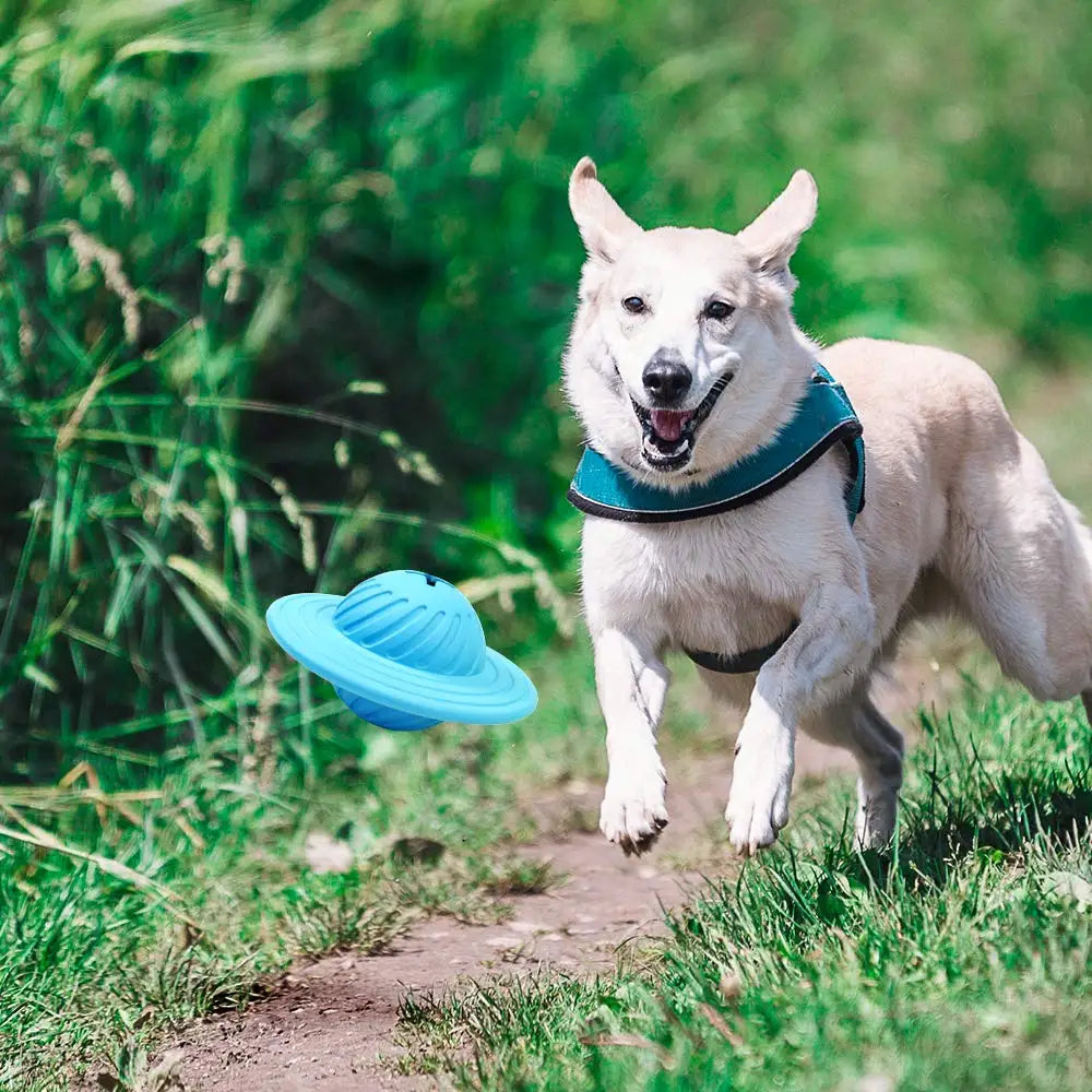 AstroChew | Interaktiver UFO Hundeball