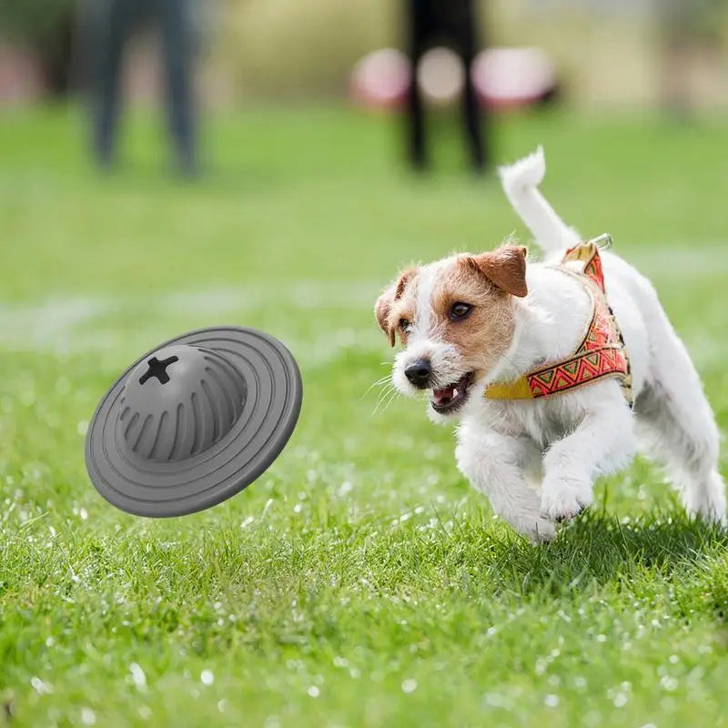 AstroChew | Interaktiver UFO Hundeball