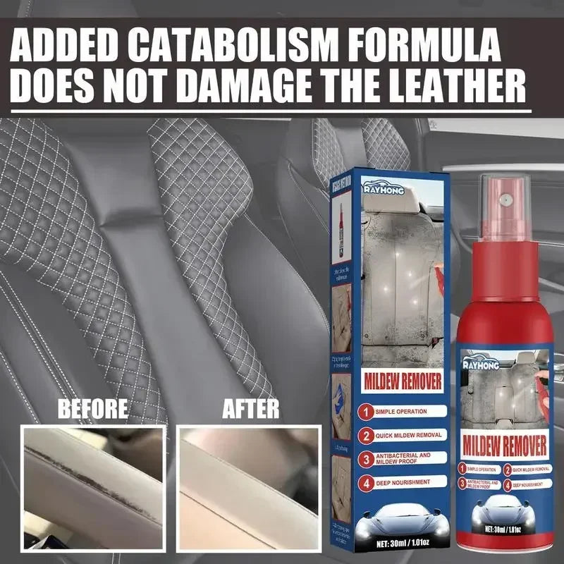 Fast Mold Remover Spray for Cars | Effective Interior Cleaning