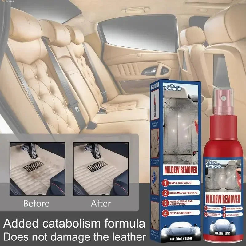 Fast Mold Remover Spray for Cars | Effective Interior Cleaning
