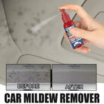 Fast Mold Remover Spray for Cars | Effective Interior Cleaning
