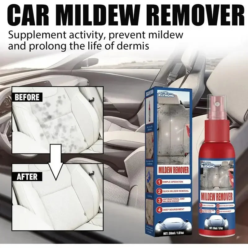 Fast Mold Remover Spray for Cars | Effective Interior Cleaning
