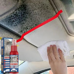 Fast Mold Remover Spray for Cars | Effective Interior Cleaning
