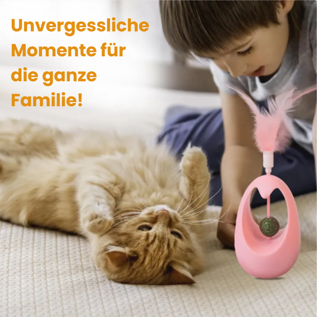 Interactive Catnip Toy for Healthy Activity