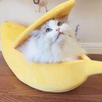 Banana Bed | For Relaxed Sleep and Scratch-Free Furniture