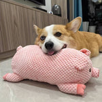 BarkBoo | For strong teeth and happy dogs