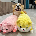 BarkBoo | For strong teeth and happy dogs