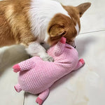 BarkBoo | For strong teeth and happy dogs