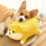 BarkBoo | For strong teeth and happy dogs