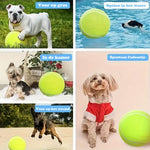 BarkBounce | Abenteuerlicher Spielspaß