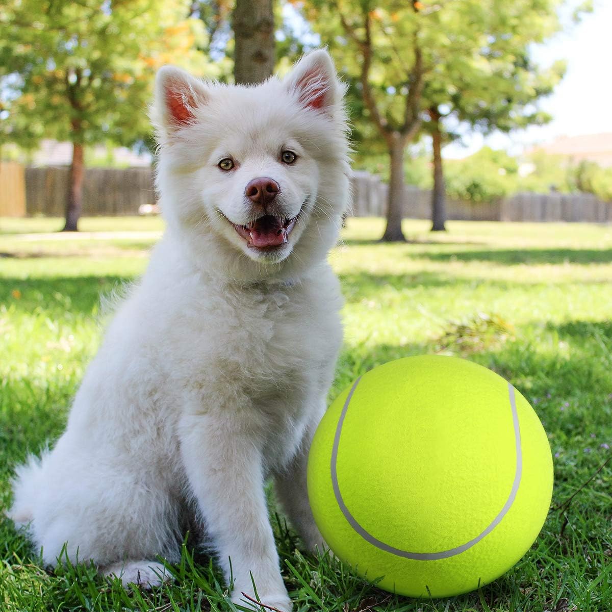 BarkBounce | Abenteuerlicher Spielspaß