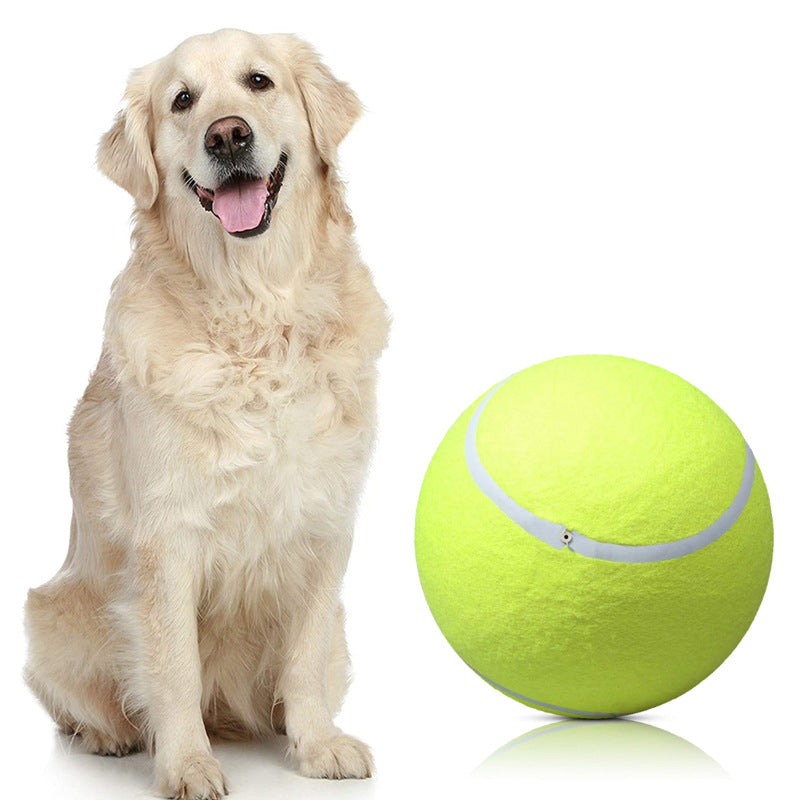 BarkBounce | Abenteuerlicher Spielspaß