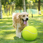 BarkBounce | Abenteuerlicher Spielspaß