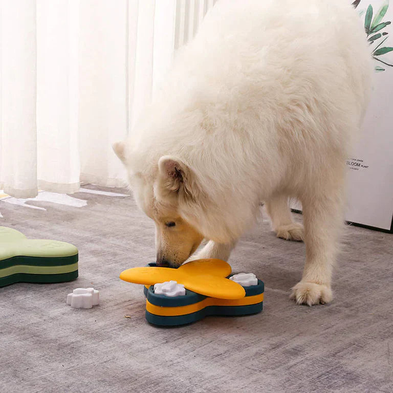 BarkBrain | Promote Slow Eating and Reduce Stress