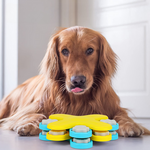 BarkBrain | Promote Slow Eating and Reduce Stress