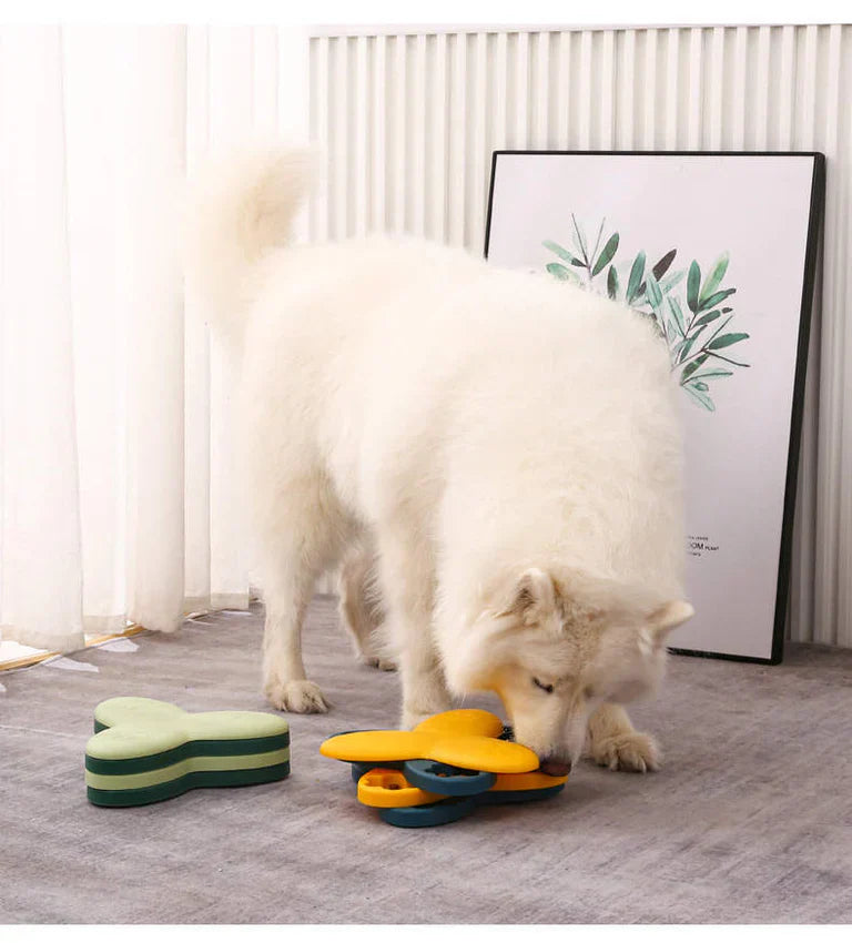 BarkBrain | Promote Slow Eating and Reduce Stress