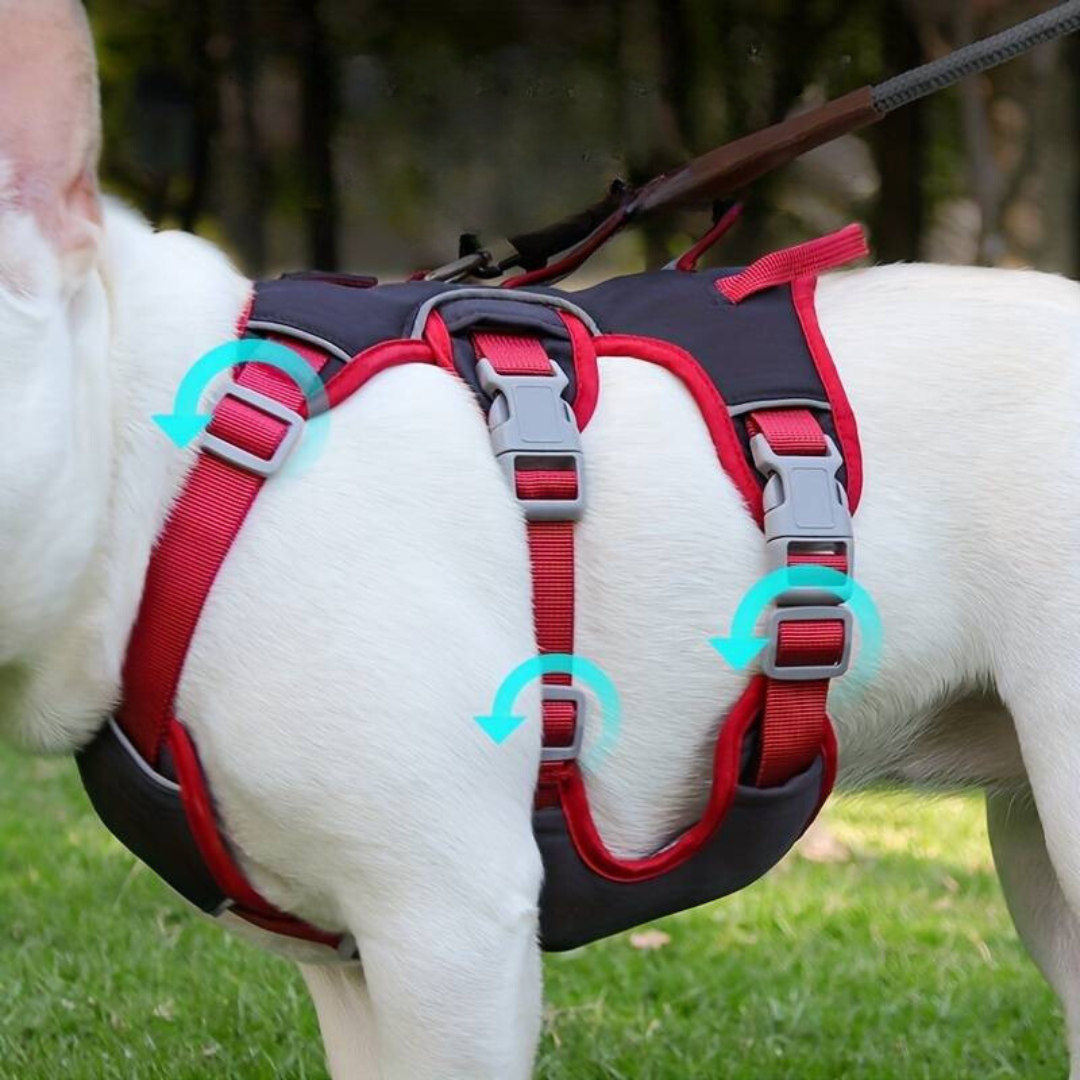 BarkVest | Reflektierendes Hundegeschirr für Abenteuer