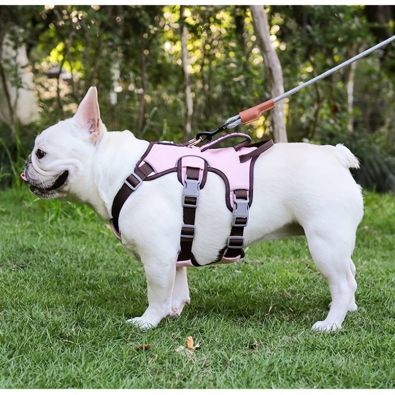 BarkVest | Reflektierendes Hundegeschirr für Abenteuer