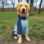 Barksy | Winterpullover für Hunde gegen Kälte und Schnee