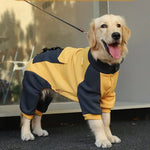Barksy | Winterpullover für Hunde gegen Kälte und Schnee