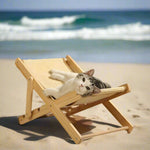 BeachPaw | Luxuriöse Kratzmöbel für Katzen zum Schutz Ihrer Einrichtung