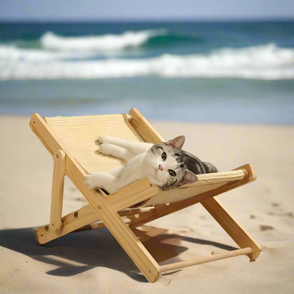 BeachPaw | Luxuriöse Kratzmöbel für Katzen zum Schutz Ihrer Einrichtung
