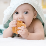 Developmental Teether with Stacking Toy for Babies