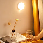 Smart motion light with USB and battery option