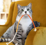 Dental Care Toys for Cats