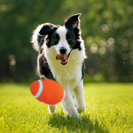 BiteBlitz | Indestructible Dog Chew Toy
