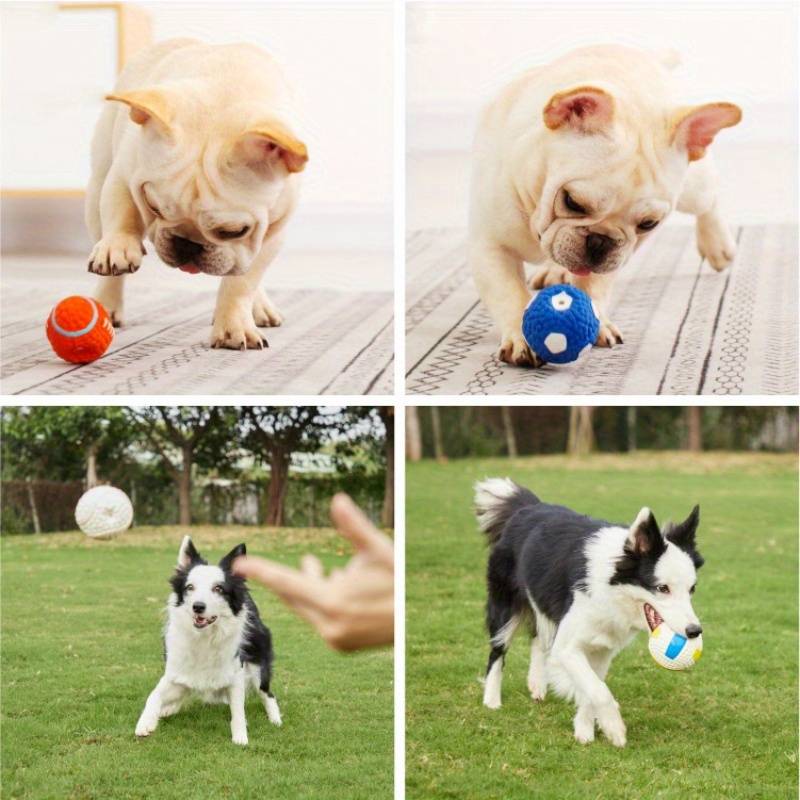 BiteBlitz | Indestructible Dog Chew Toy