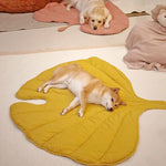 LeafyPet Blanket – Elegant Dog Blanket Made of Cotton and Polyester