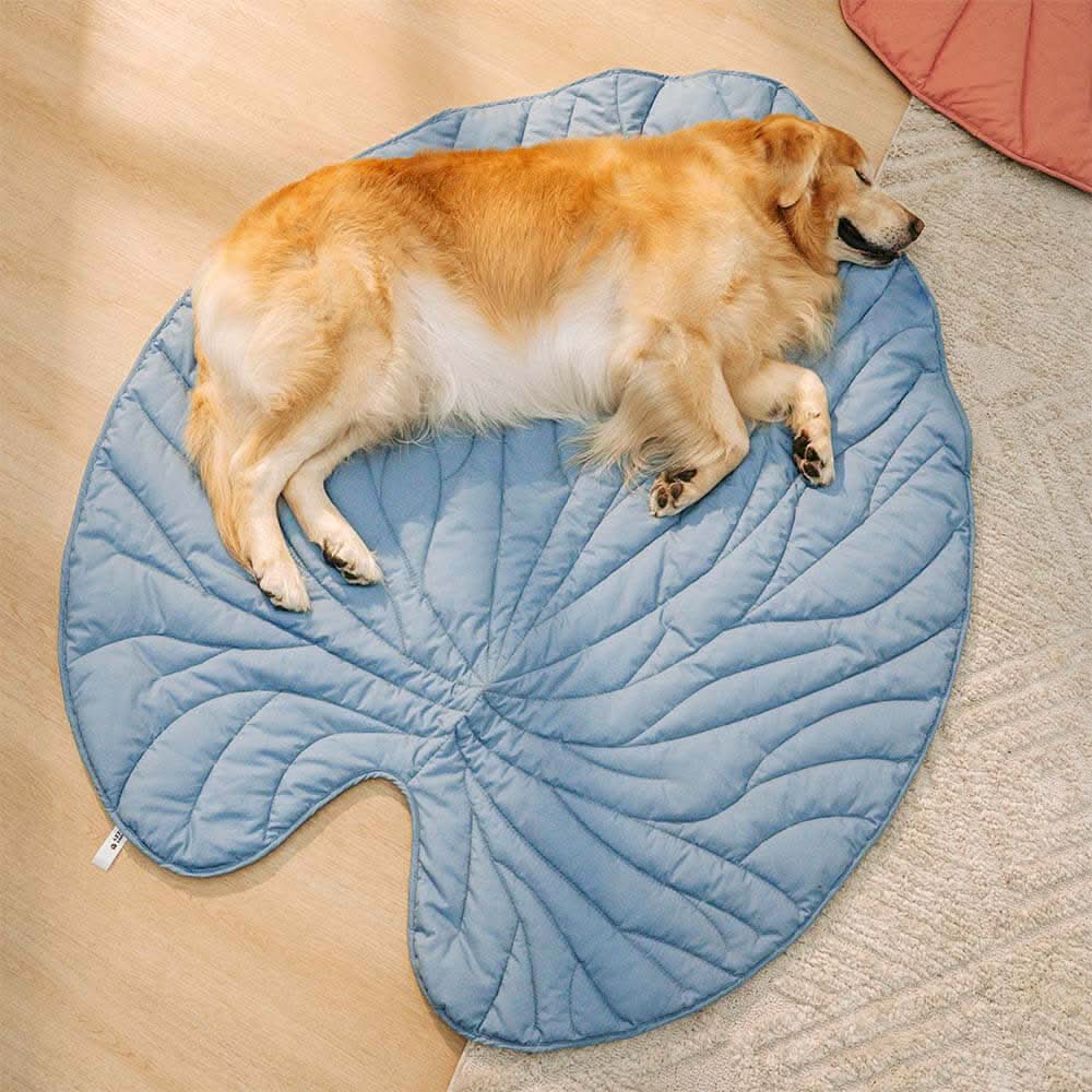 Stilvolle Hundedecke in Blattform für ultimativen Komfort