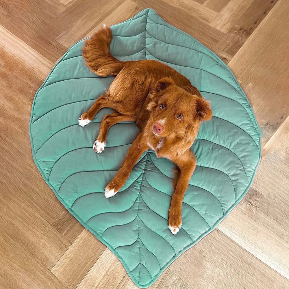 Hundebett in Blattform – Bequemes Bett aus Baumwolle und Polyester