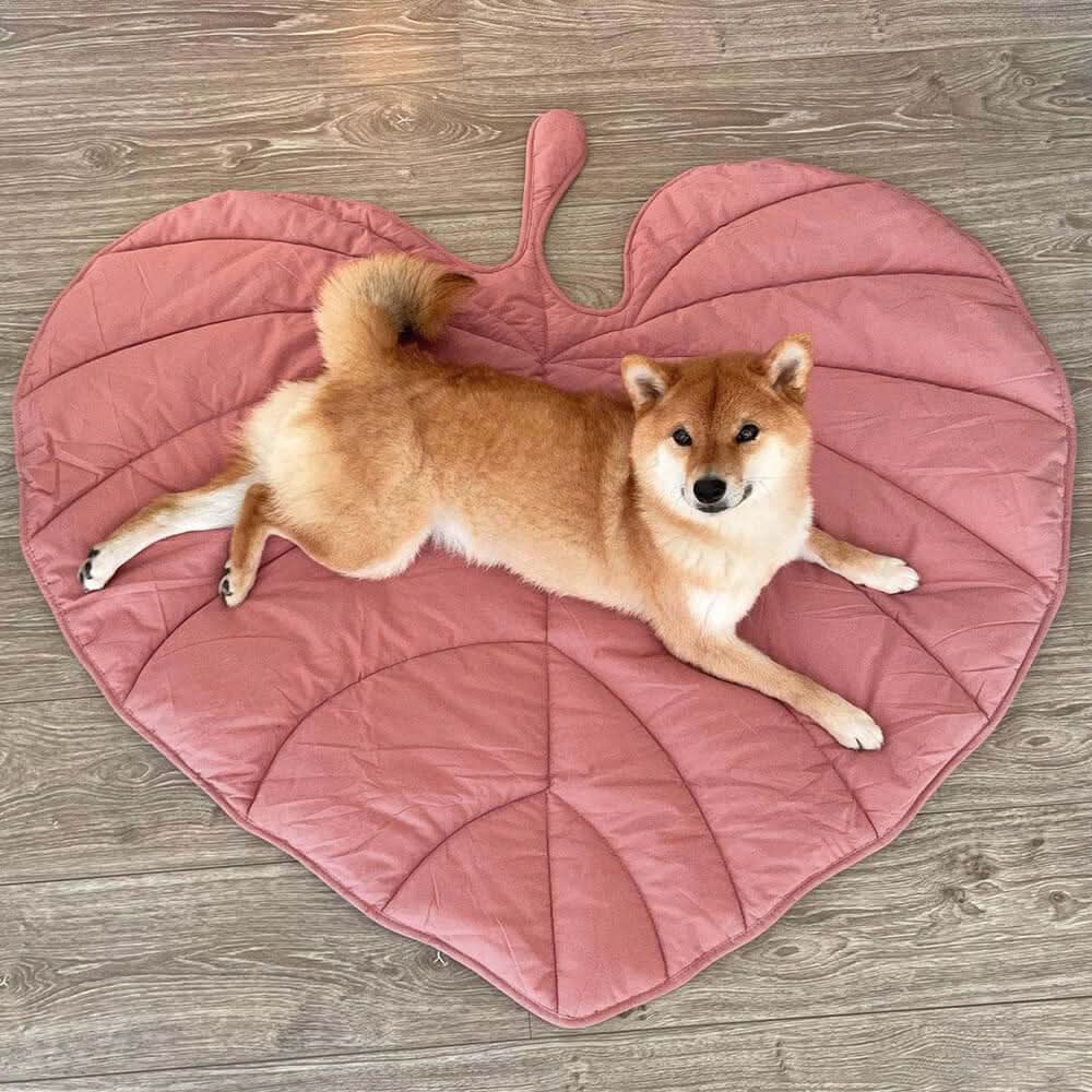 LeafyPet Blanket – Elegant Dog Blanket Made of Cotton and Polyester